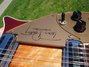Rickenbacker 660/12 TP, Fireglo: Free image2