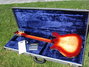 Rickenbacker 660/12 TP, Fireglo: Full Instrument - Rear