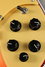Rickenbacker 660/12 , Fireglo: Close up - Free2