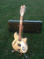 Rickenbacker 360/12 , Mapleglo: Full Instrument - Front