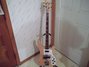 Rickenbacker 4001/4 , Mapleglo: Full Instrument - Front