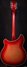 Rickenbacker 360/12 CW, Fireglo: Full Instrument - Rear