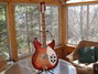 Rickenbacker 360/12 V64, Fireglo: Full Instrument - Front