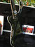 Rickenbacker 4003/4 , Jetglo: Neck - Rear