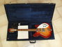 Rickenbacker 370/12 RM, Fireglo: Full Instrument - Front