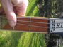 Rickenbacker 4001/4 , Jetglo: Neck - Front