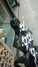 Rickenbacker 4003/4 , Jetglo: Free image2