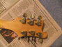 Rickenbacker 481/6 Slant Fret, Mapleglo: Headstock - Rear