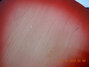 Rickenbacker 330/6 , Fireglo: Free image2