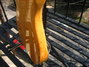 Rickenbacker 3000/4 BT, Mapleglo: Free image