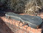 Rickenbacker 59/6 LapSteel, Gray: Free image2