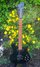 Rickenbacker 610/6 BH BT, Jetglo: Free image