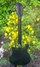 Rickenbacker 610/6 BH BT, Jetglo: Body - Rear