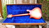 Rickenbacker ES17/6 Ryder, Fireglo: Full Instrument - Rear