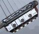 Rickenbacker ES17/6 Ryder, Fireglo: Close up - Free