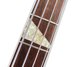 Rickenbacker 4001/6 , Eggplant: Neck - Front