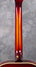 Rickenbacker 700/12 PW Build (acoustic), Autumnglo: Neck - Rear