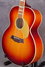 Rickenbacker 700/12 PW Build (acoustic), Autumnglo: Close up - Free2
