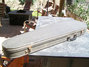 Rickenbacker 320/6 f hole, Jetglo: Free image2