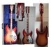 Rickenbacker 360/12 V64, Fireglo: Free image