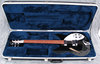Rickenbacker 330/6 , Jetglo: Free image