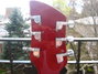 Rickenbacker 620/6 , Ruby: Headstock - Rear
