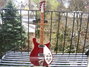 Rickenbacker 620/6 , Ruby: Full Instrument - Front