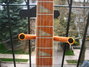 Rickenbacker 620/6 , Ruby: Neck - Front