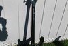 Rickenbacker 4001/4 , Jetglo: Full Instrument - Rear