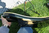 Rickenbacker 4001/4 , Jetglo: Close up - Free2