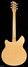Rickenbacker 360/6 , Mapleglo: Full Instrument - Rear