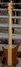 Rickenbacker 4004/4 LK, Walnut: Full Instrument - Rear