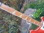 Rickenbacker 4001/4 , Fireglo: Neck - Front