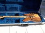Rickenbacker 380/6 Laguna piezo, Natural: Free image