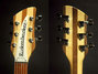 Rickenbacker 330/6 , Mapleglo: Free image2