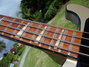 Rickenbacker 4003/4 , Desert Gold: Neck - Front