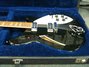 Rickenbacker 360/6 , Jetglo: Body - Front