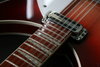 Rickenbacker 360/12 V64, Fireglo: Neck - Front