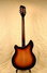 Rickenbacker 370/12 VP, MonteBrown: Full Instrument - Rear