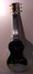 Rickenbacker G/6 LapSteel, Silver: Full Instrument - Rear