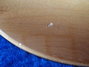 Rickenbacker 340/6 , Walnut: Free image