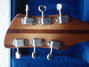 Rickenbacker 340/6 , Walnut: Headstock - Rear