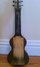 Rickenbacker Academy/6 LapSteel, Brown: Full Instrument - Rear