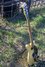 Rickenbacker 610/6 , Mapleglo: Free image2