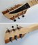Rickenbacker 650/6 Dakota, Natural Walnut: Headstock