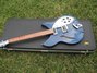 Rickenbacker 330/6 , Midnightblue: Free image