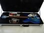 Rickenbacker 330/12 , Blueburst: Free image2