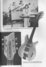 Rickenbacker 325/6 Prototype, Natural: Free image