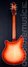 Rickenbacker 360/6 , Fireglo: Full Instrument - Rear