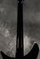 Rickenbacker 350/12 V63, Jetglo: Neck - Rear